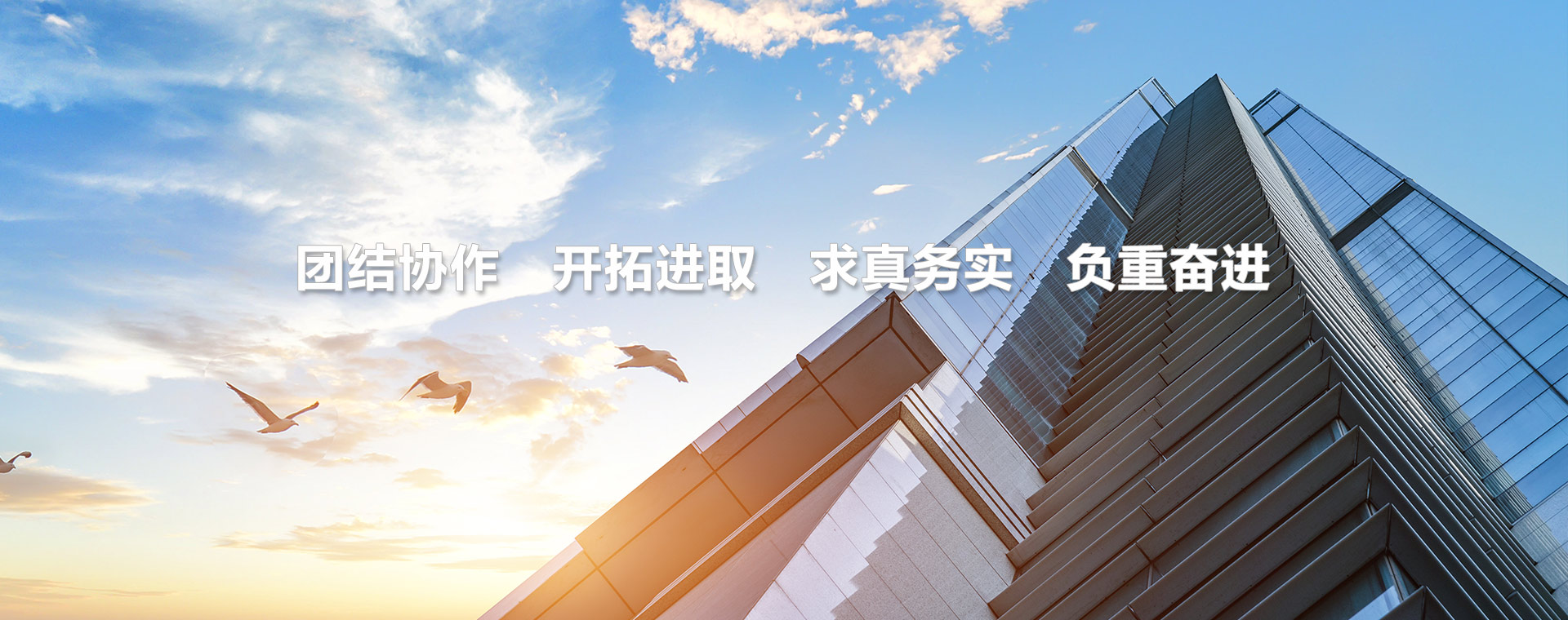 滄州億世程鋼管有限公司